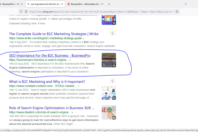 BusinessPro On-Site SEO