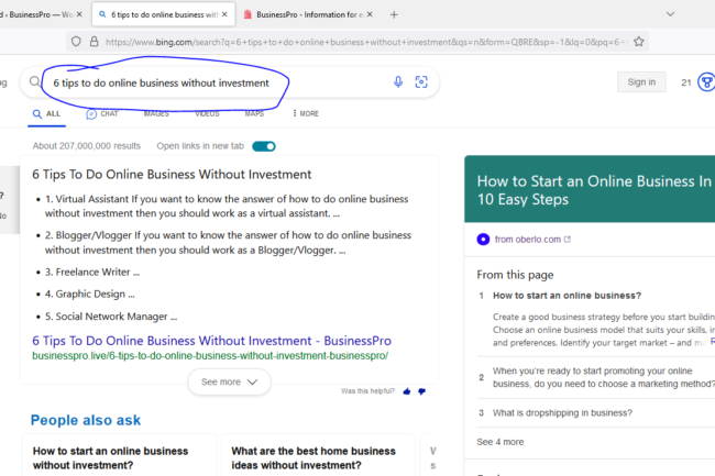 BusinessPro On-Site SEO